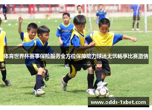 体育世界杯赛事保险服务全方位保障助力球迷无忧畅享比赛激情
