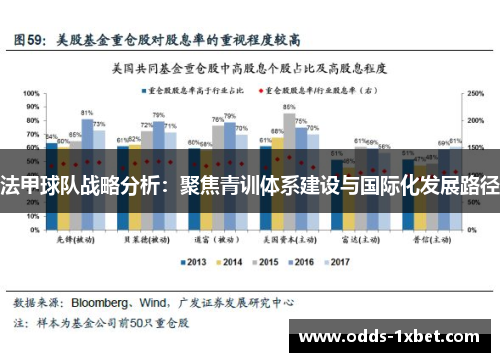 法甲球队战略分析：聚焦青训体系建设与国际化发展路径