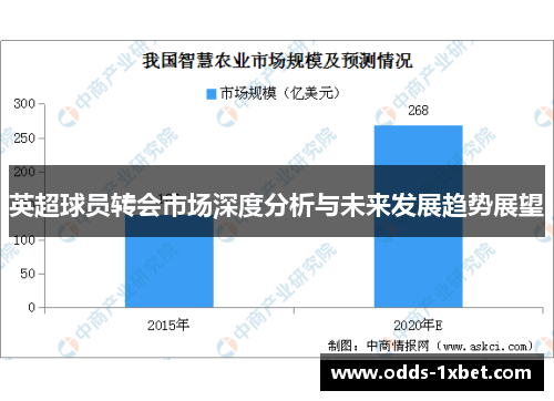 英超球员转会市场深度分析与未来发展趋势展望