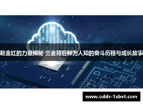 赵金红的力量揭秘 三金背后鲜为人知的奋斗历程与成长故事