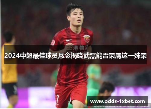 2024中超最佳球员悬念揭晓武磊能否荣膺这一殊荣