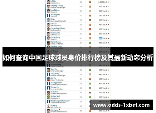 如何查询中国足球球员身价排行榜及其最新动态分析