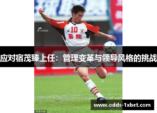 应对宿茂臻上任：管理变革与领导风格的挑战