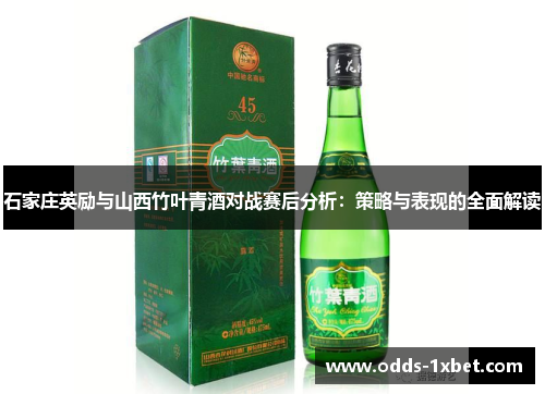 石家庄英励与山西竹叶青酒对战赛后分析：策略与表现的全面解读