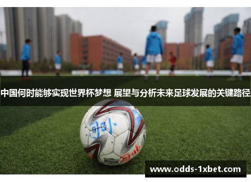 中国何时能够实现世界杯梦想 展望与分析未来足球发展的关键路径